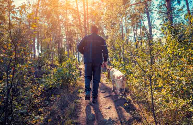 Uomo e cane in campagna