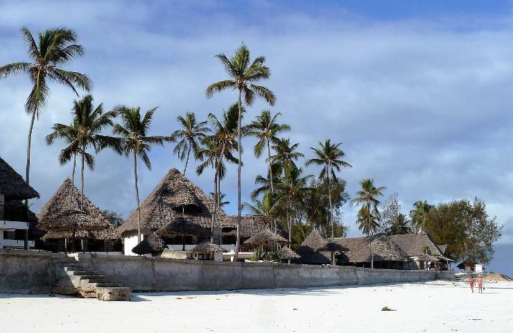 Zanzibar con palme e case