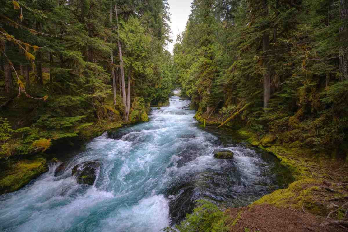 riva del fiume