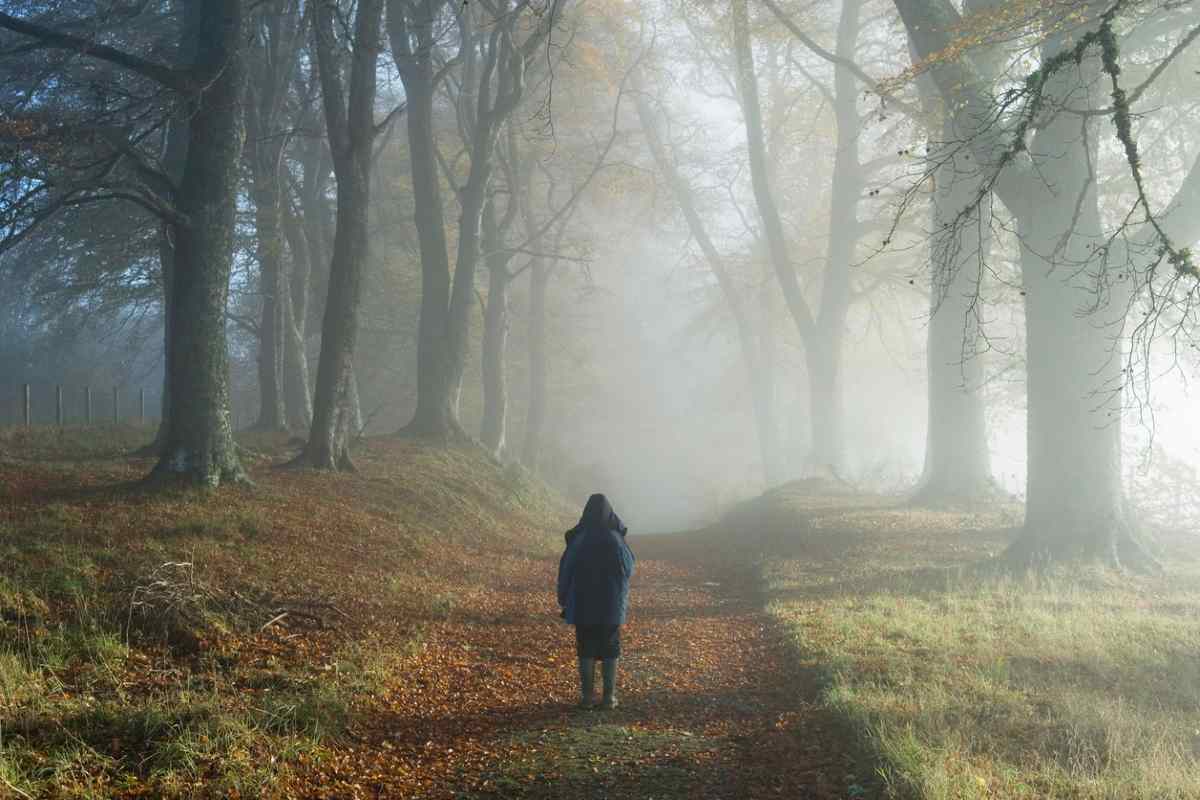  uomo da solo nel bosco