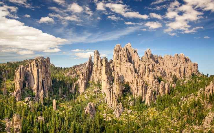 Needles Highway 