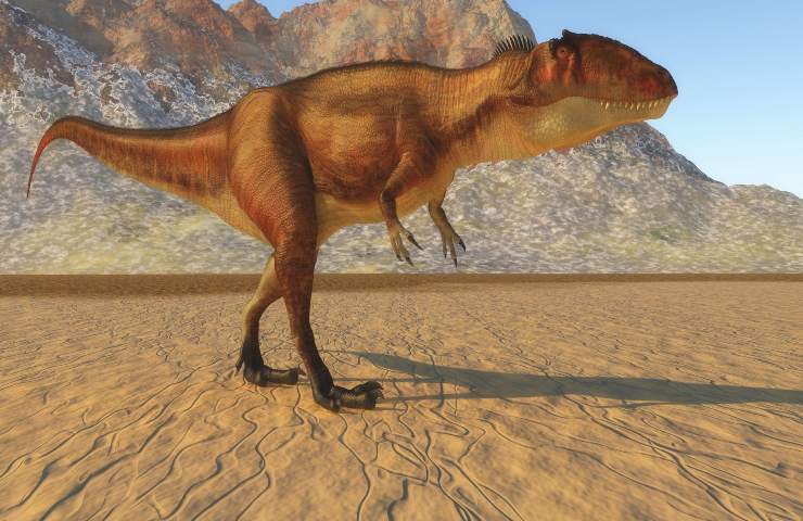 Carcarodontosauro