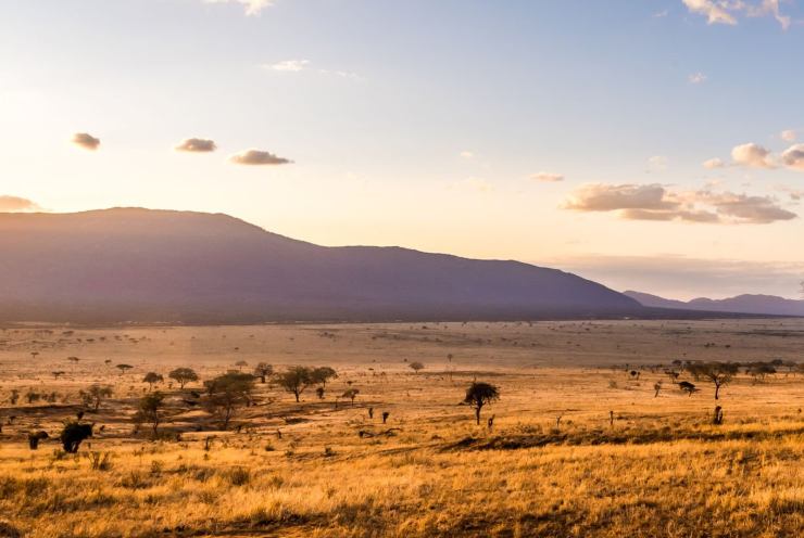 Kenya al tramonto