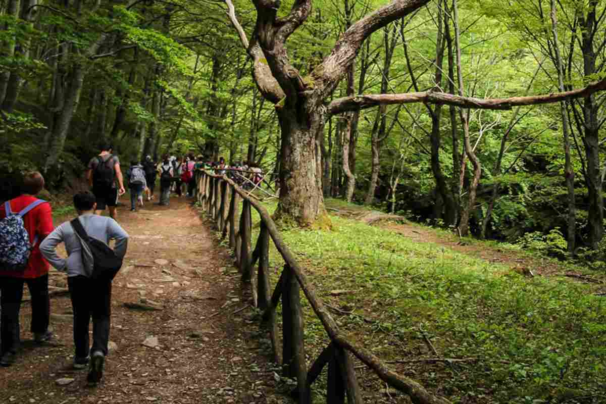 Parco nazionale delle Foreste casentinesi tra Toscana ed Emilia Romagna