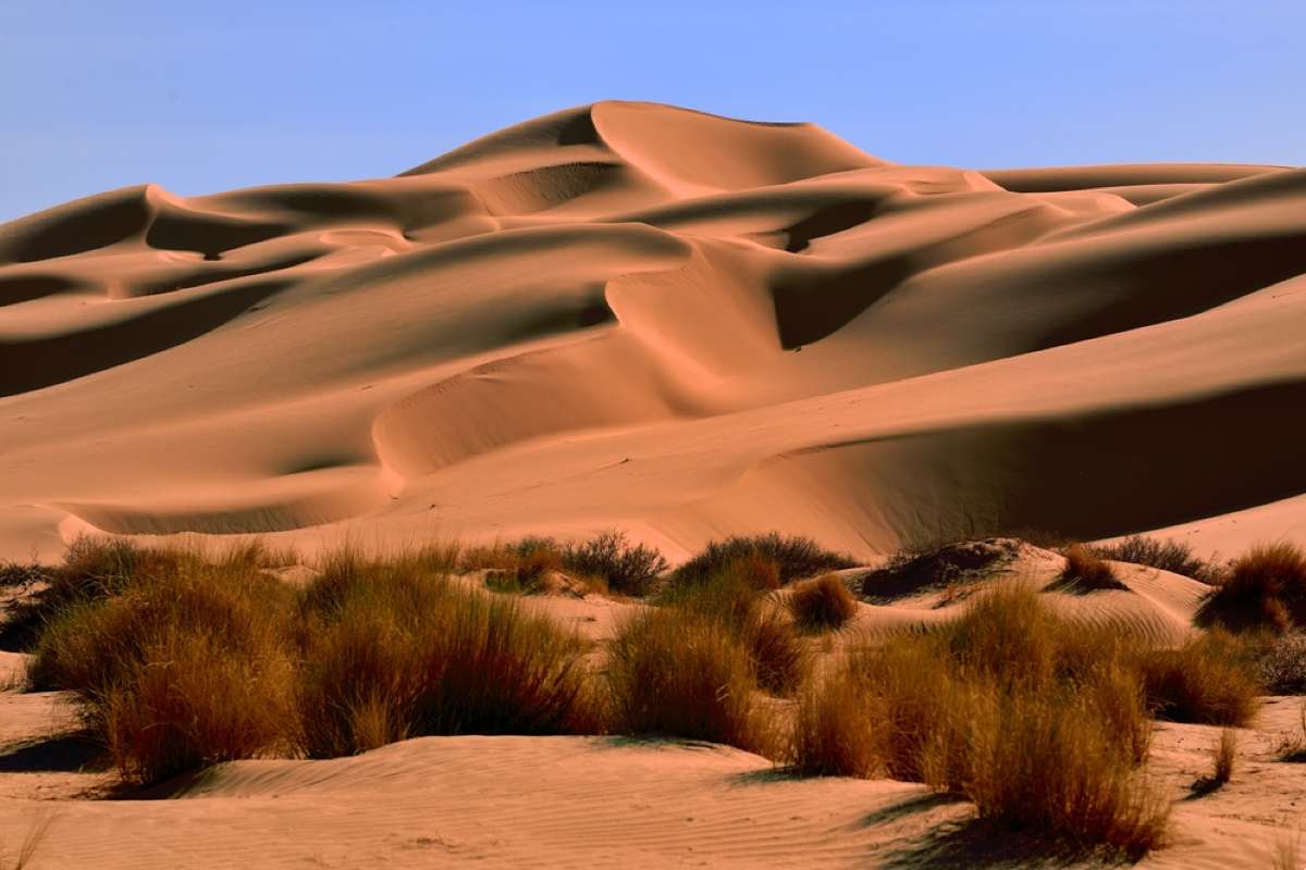 duna più antica del mondo