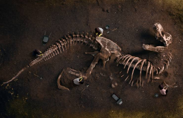 scoperto fossile di titanosauro