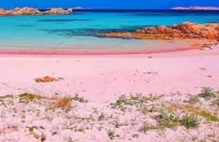Spiaggia rosa