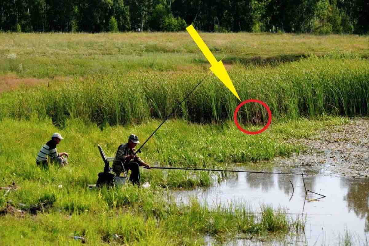 Uomini che stavano pescando