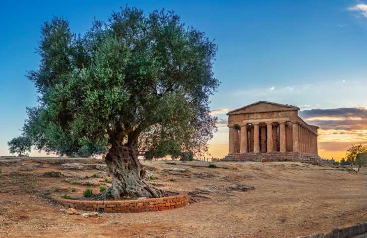 Siccità in Sicilia 