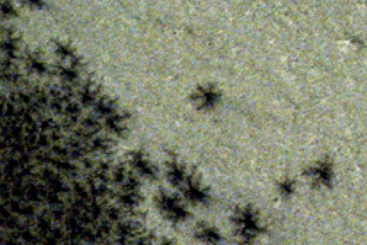 Strange spots appeared on Mars that look like spiders: what they really are