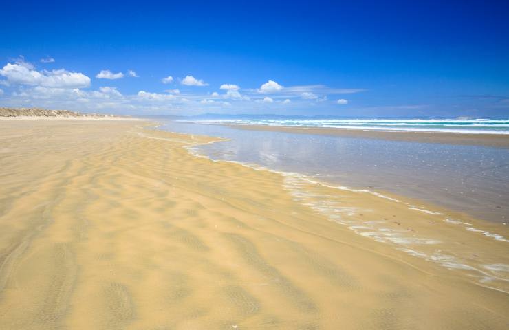 ninety miles beach