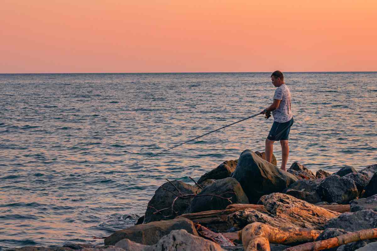  Pesa 160 Chili Pesca Una Creatura Mostruosa Di Cosa Si Tratta