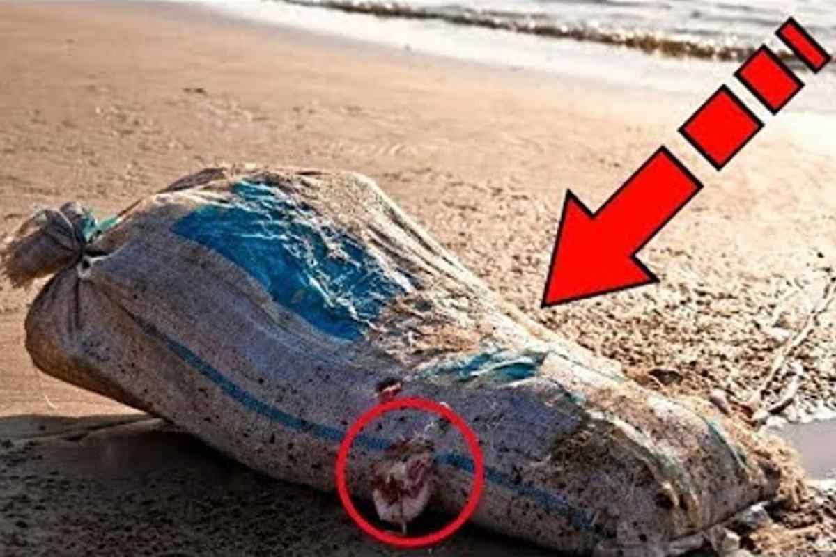 Trova un sacco misterioso in spiaggia