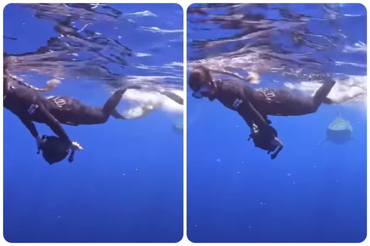 La sub accarezza lo squalo