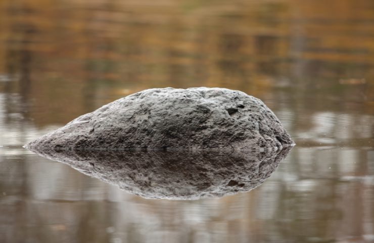 Meteorite