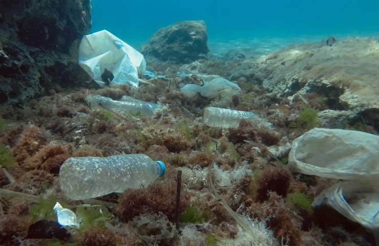 The most polluted sea in Italy