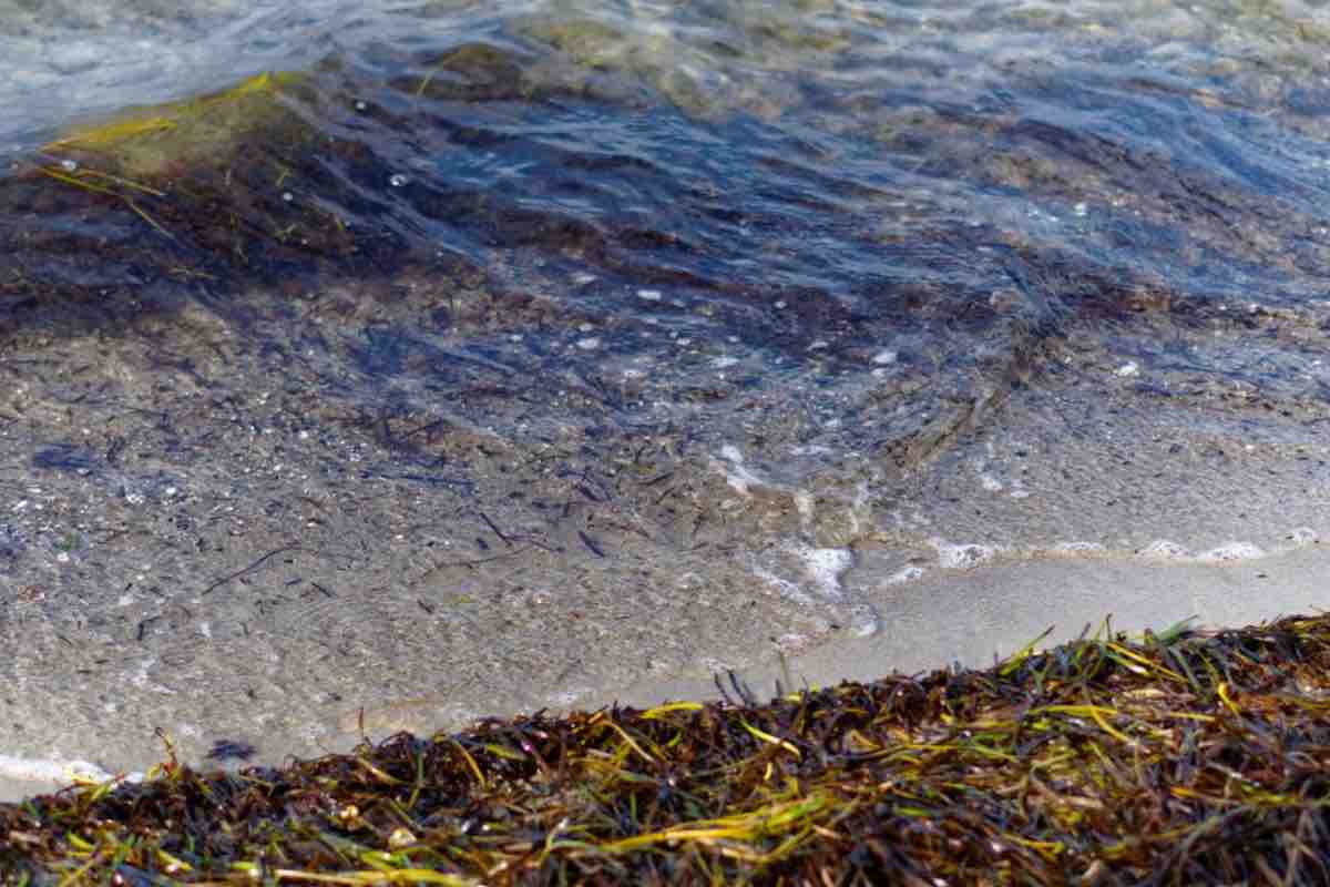 Ostia, dettaglio in mare