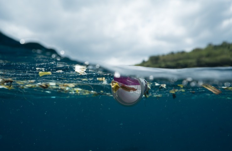 Rifiuti in mare 