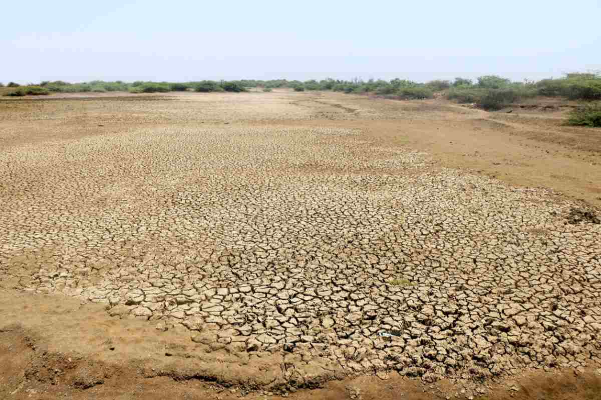 Senegal, habitat pangolino gigante 