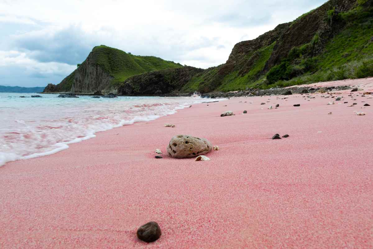 Spiaggia rosa Komodo