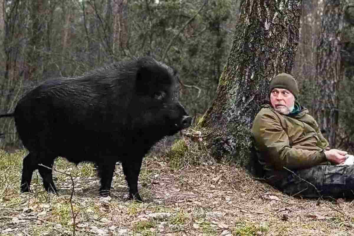 Uomo e cinghiale