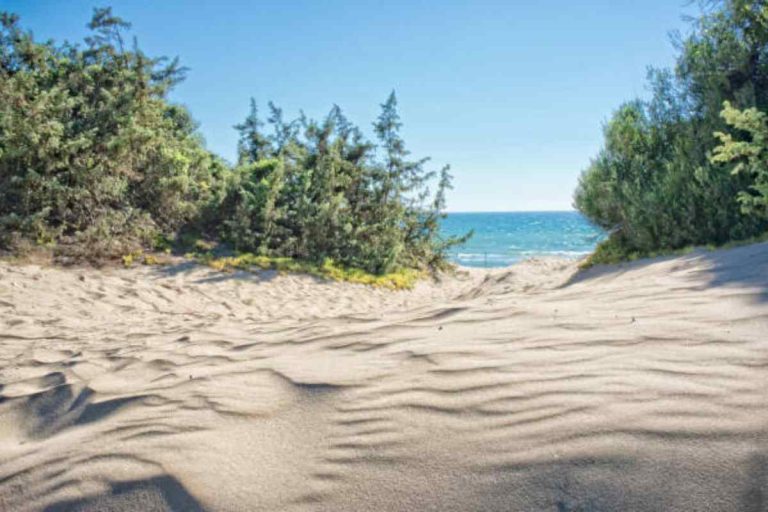 Distesa Lunga distesa di sabbia dorata e dune: la spiaggia di Sabaudia, tra le ...