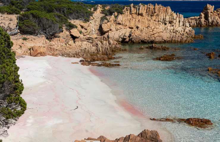 la spiaggia rosa