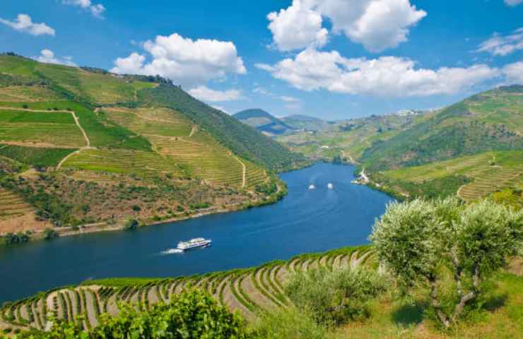 Valle del Douro Portogallo