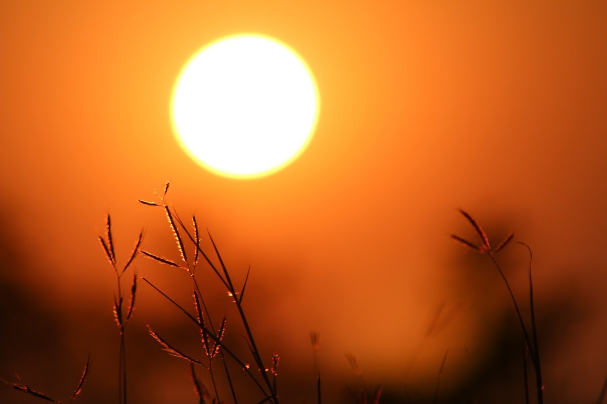 Accadrà a settembre