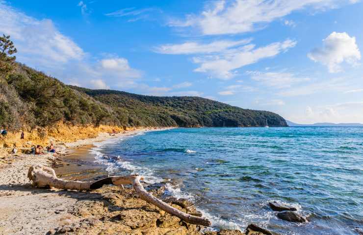 Cala Violina in Maremma