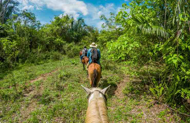 Che cosa fare in Colombia