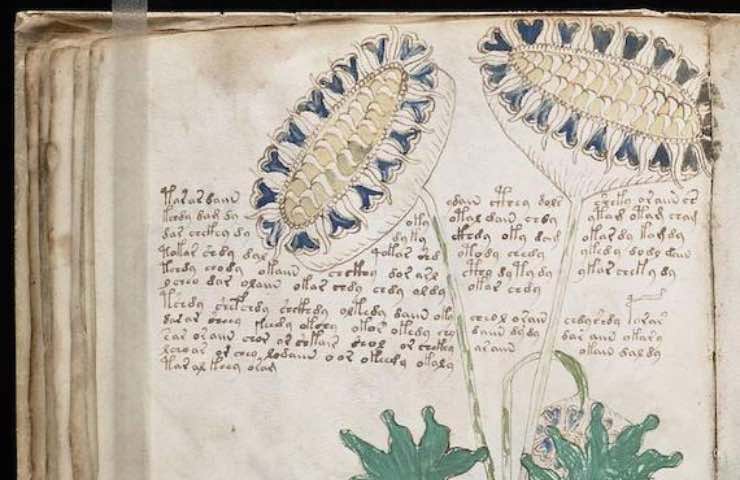 Codice di Voynich