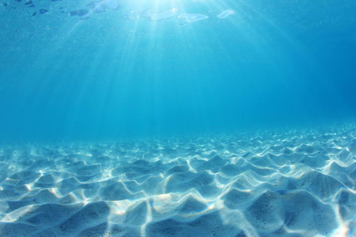 Tons of sand are moving to the bottom of the sea and that’s not good news.