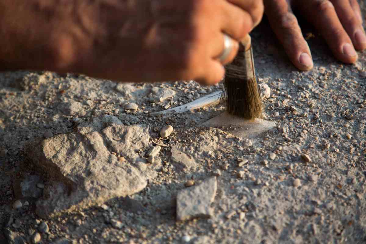 Hanno scoperto un tesoro di epoca romana