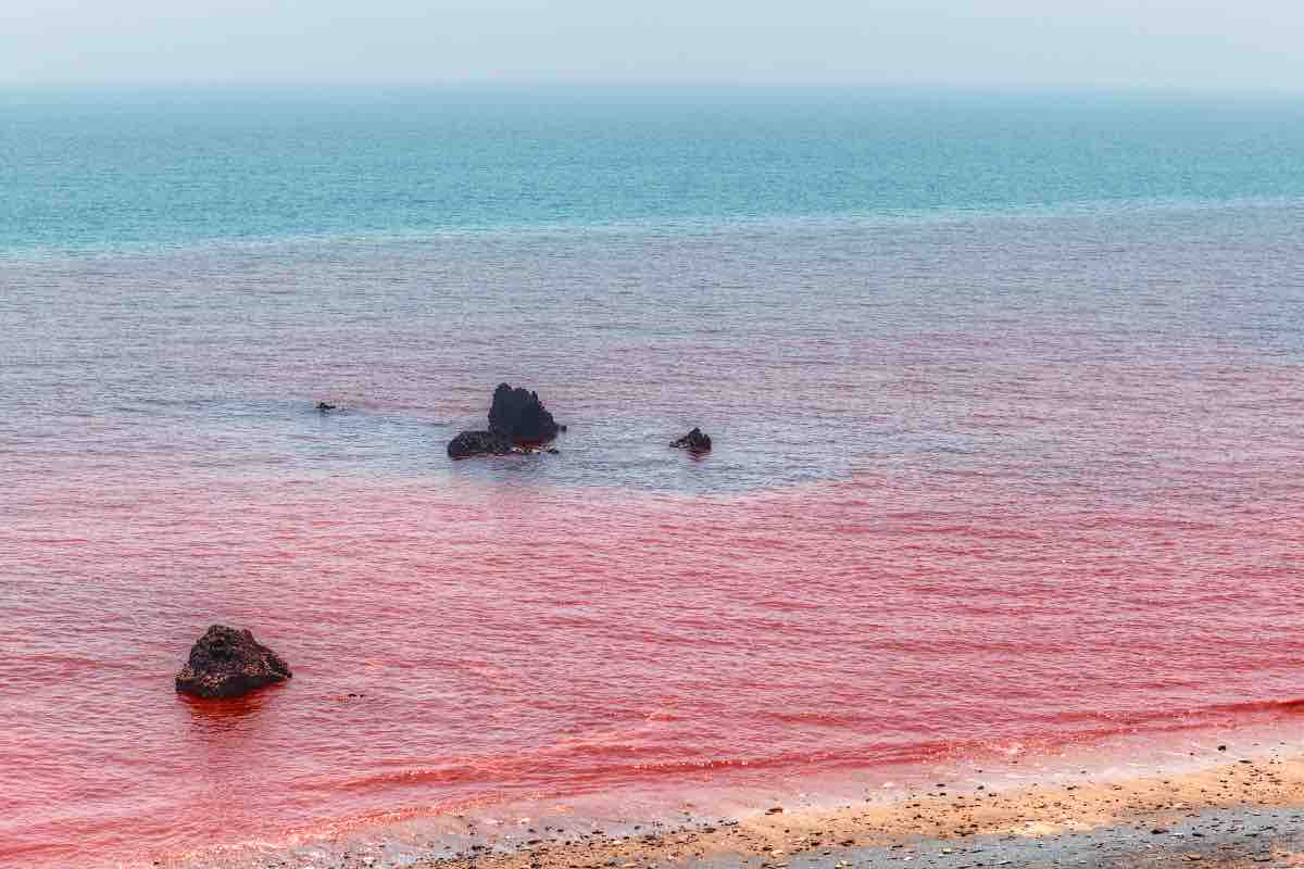 In questa spiaggia la sabbia è rossa