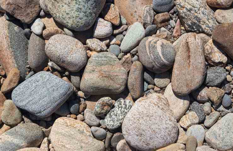 La multa per la raccolta di sassi e di conchiglie al mare