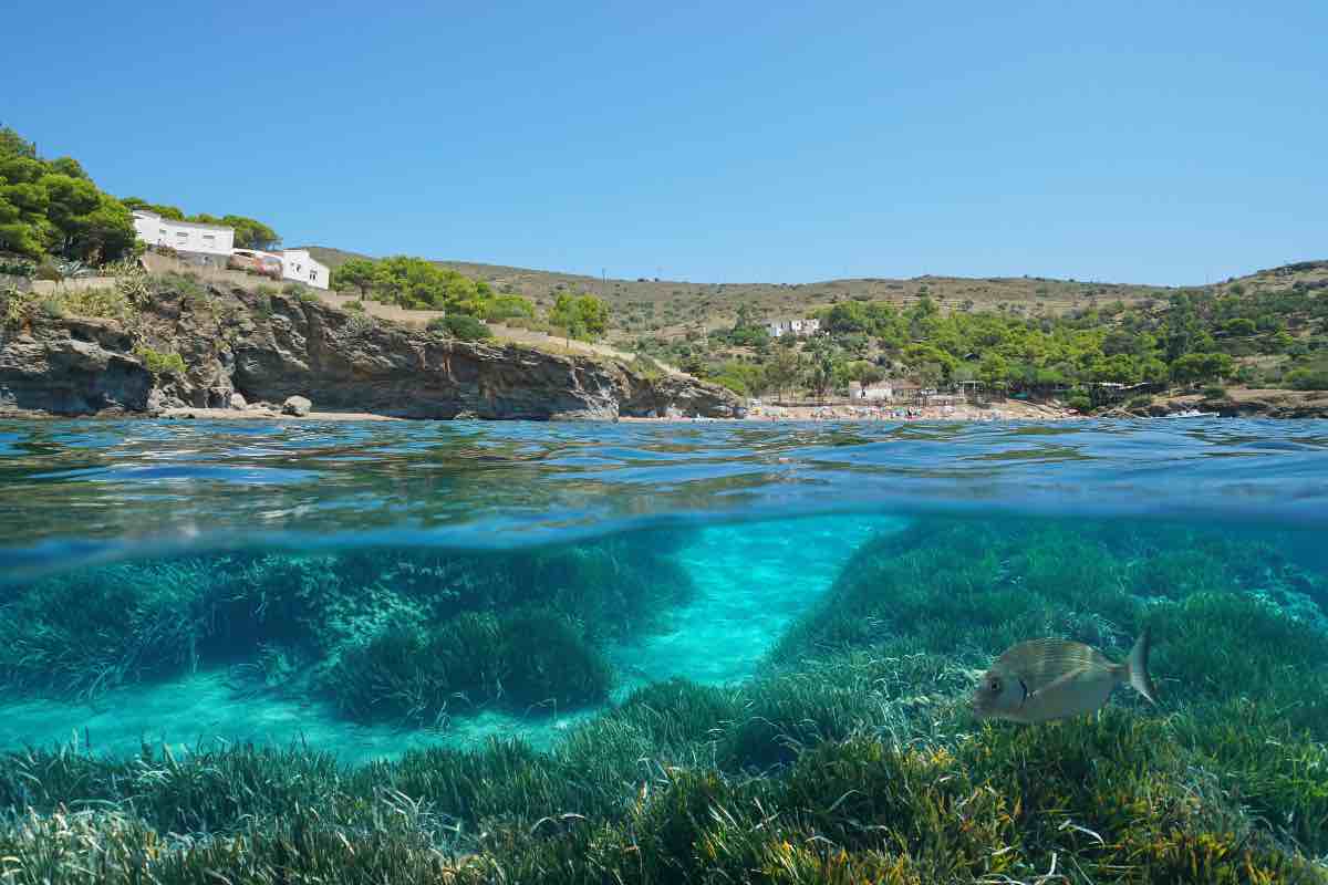 Mar Mediterraneo