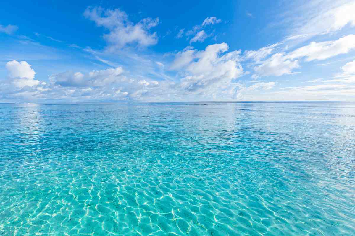 È la spiaggia più pulita del mondo