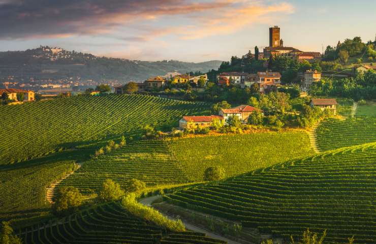 campagna langhe