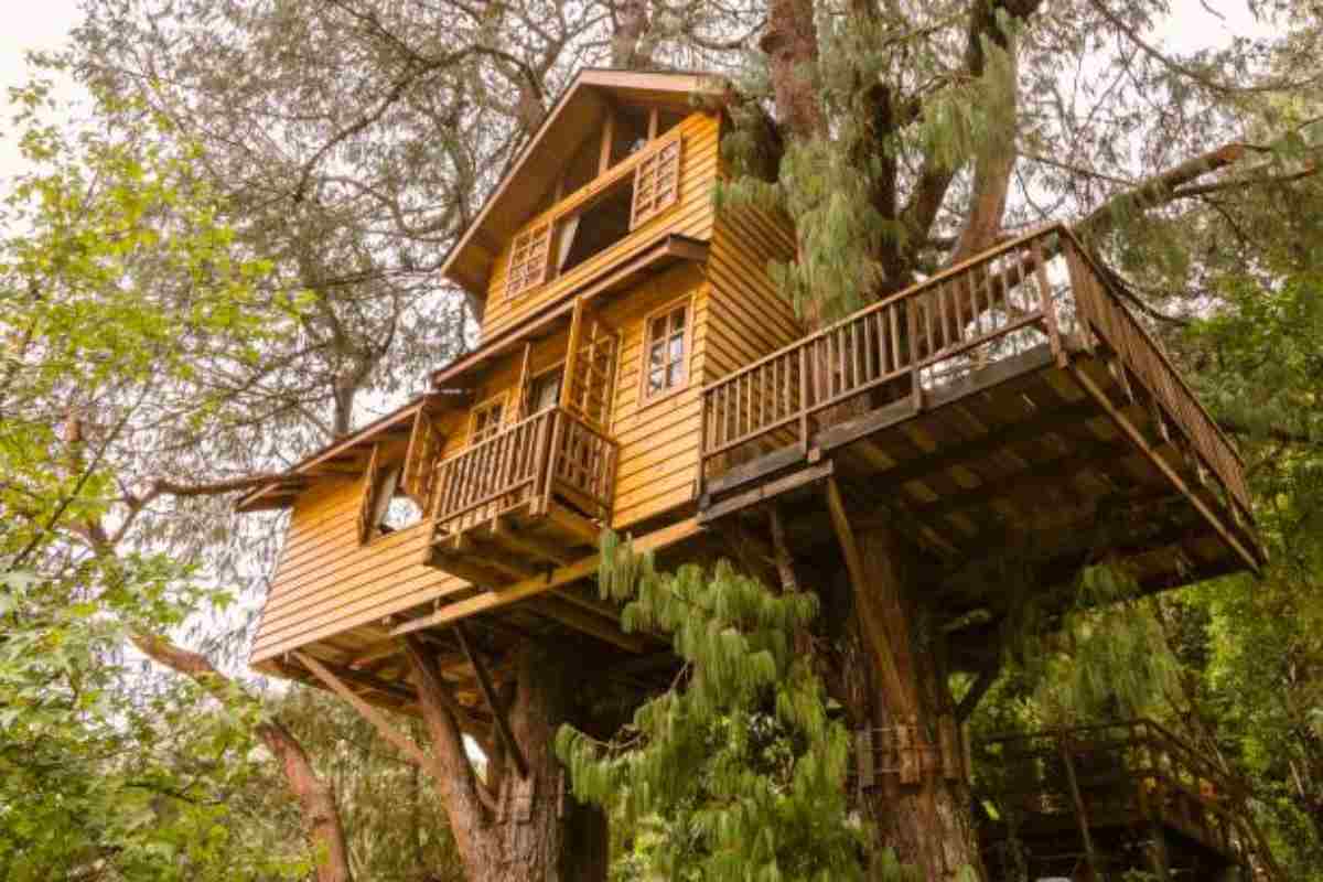 tree house