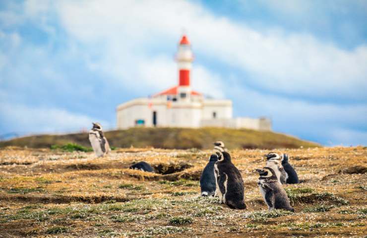 isla magdalena