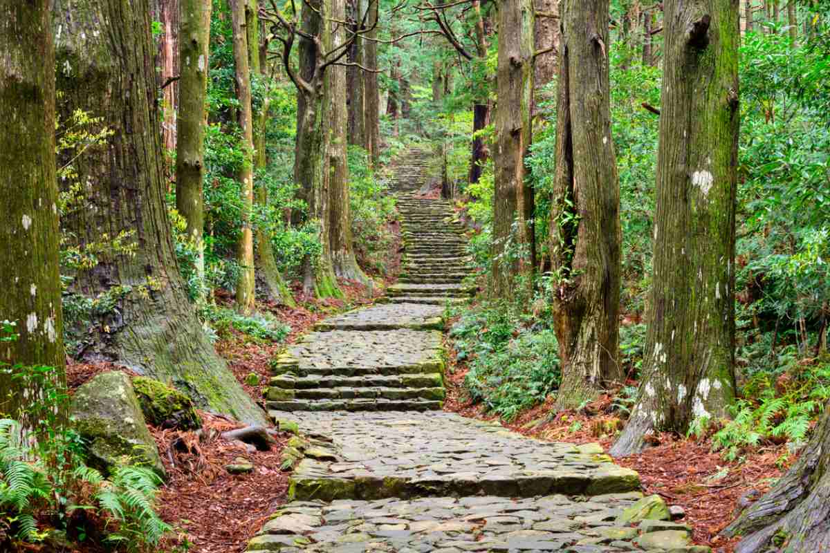 kumano kodo