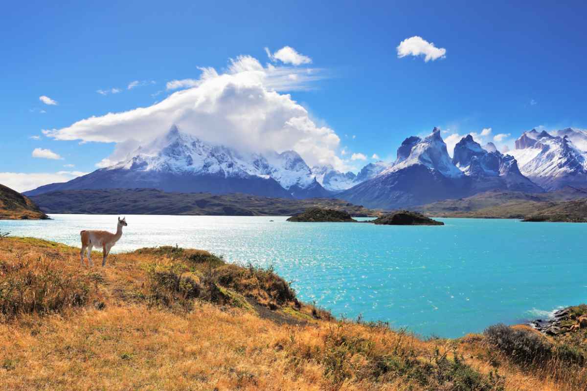 patagonia