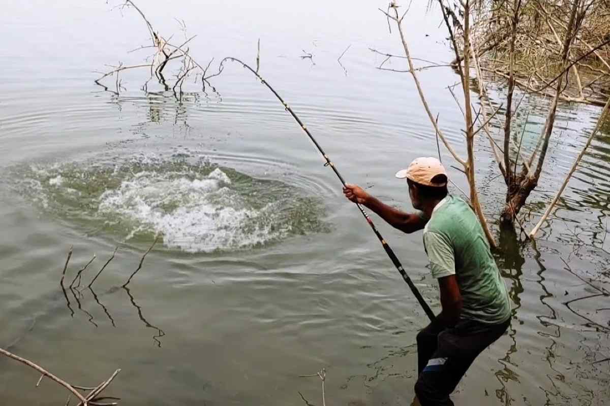 pesca un pesce enorme