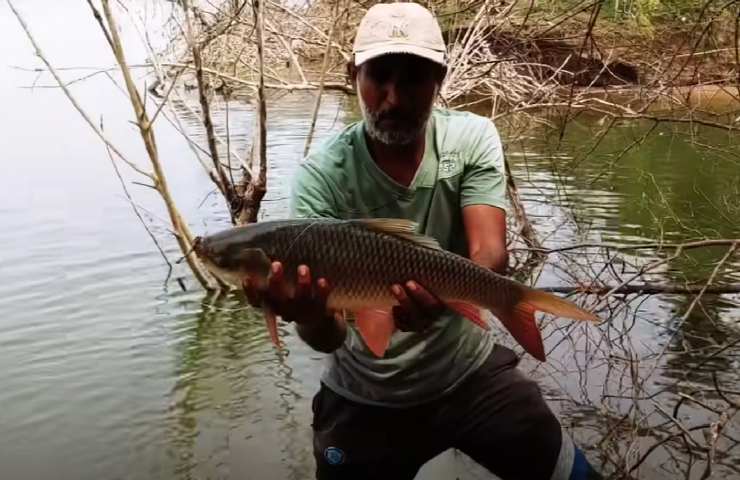 Pesca un pesce enorme