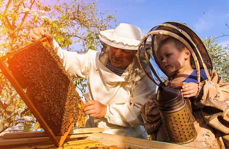 vacanze con i figli per conoscere le api e il miele