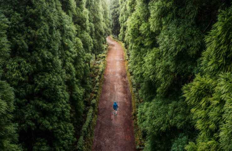 bagni nella foresta