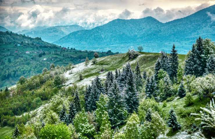 bosco romania