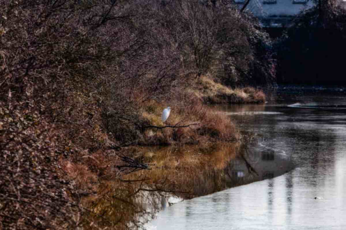 laguna di Marano