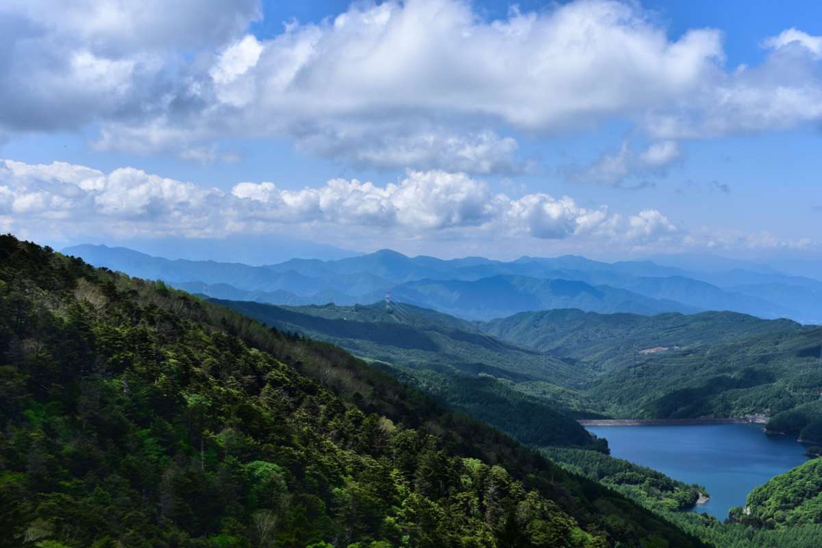 koshu